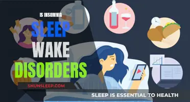 Understanding Insomnia: Sleep-Wake Disorders Explained