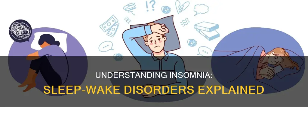 is insomnia sleep wake disorders