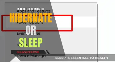 Hibernate or Sleep: What's the Best Option for Your Laptop?