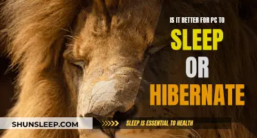 Sleep or Hibernate: What's Best for Your PC?