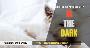 Puppies' Sleep: Dark or Light?
