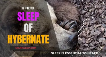 Sleep vs. Hibernation: The Ultimate Health Choice