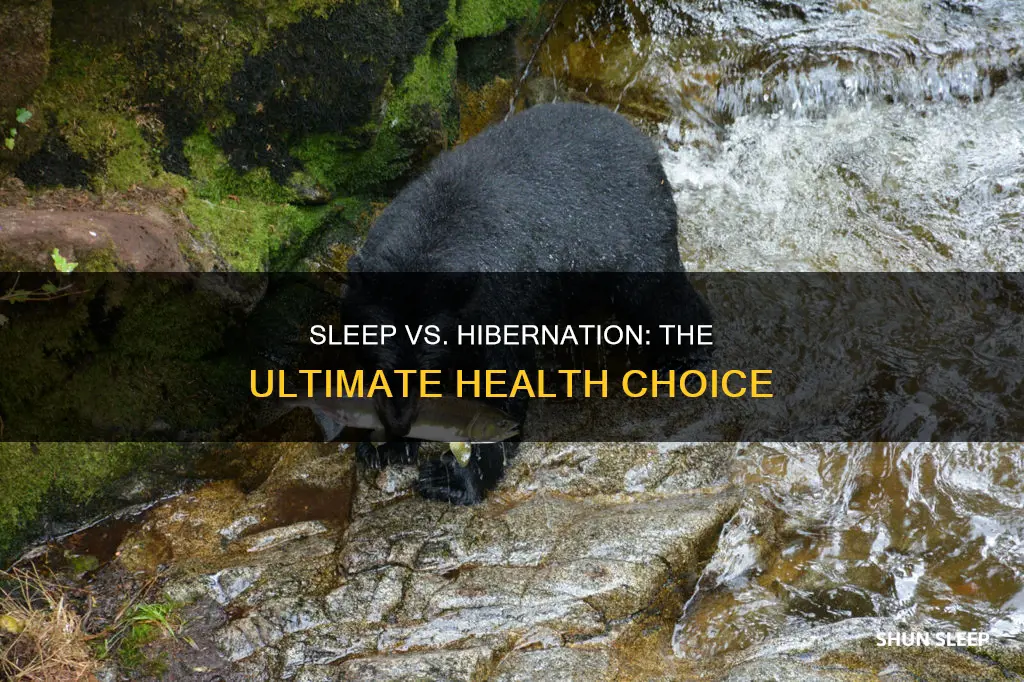 is it better sleep of hybernate
