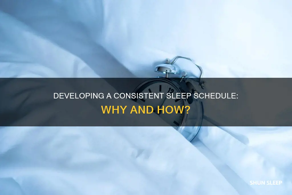 is it better to have a regular sleep schedule