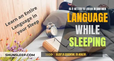 How Learning a Language in Sleep Works
