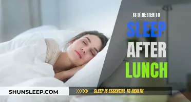 Daytime Sleep: Lunch Nap Benefits and Drawbacks