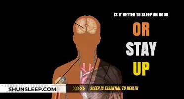 Sleep Deprivation Dilemma: Is One Hour of Sleep Better Than None?