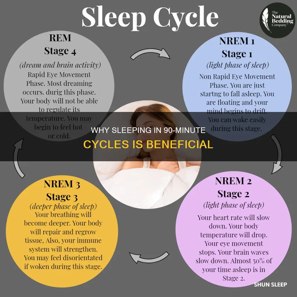 is it better to sleep in 90 minute cycles