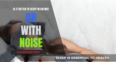 Noise or Silence: What's Best for Sleep?