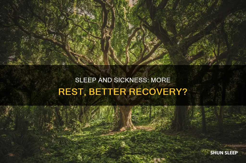 is it better to sleep more when sick