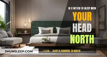 Sleeping North: The Direction of Rest