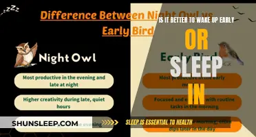 The Great Morning Debate: Early Bird or Night Owl?