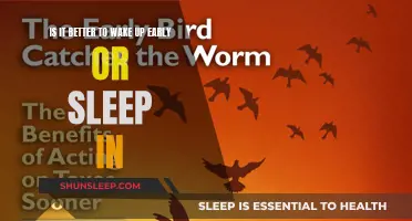 Early Birds or Night Owls: Who Wins?