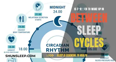 Maximizing Sleep Quality: Waking Up During Sleep Cycles