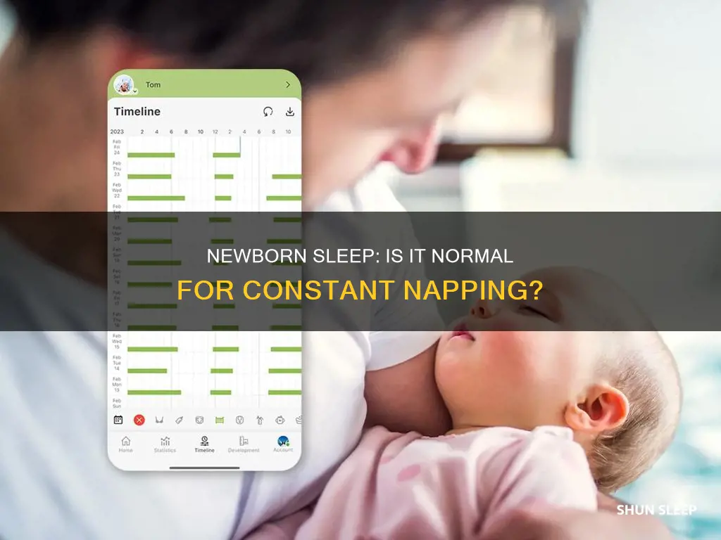 is it normal for a newborn to constantly sleep