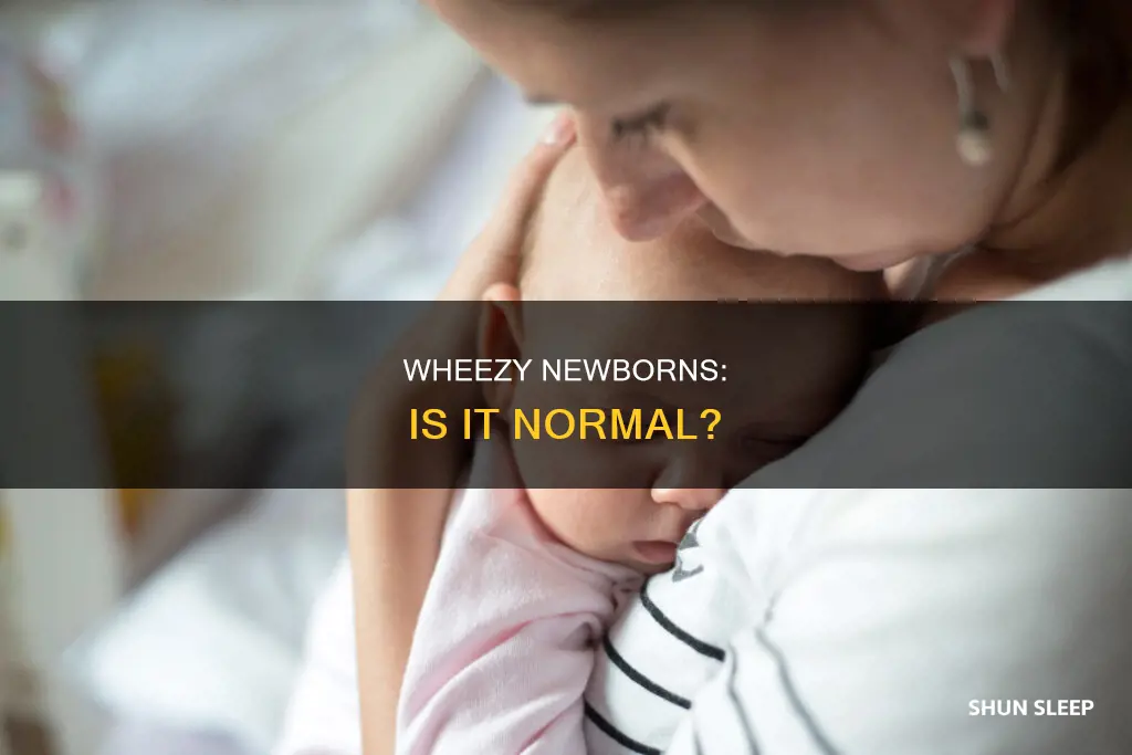 is it normal for a newborn to wheeze while sleeping