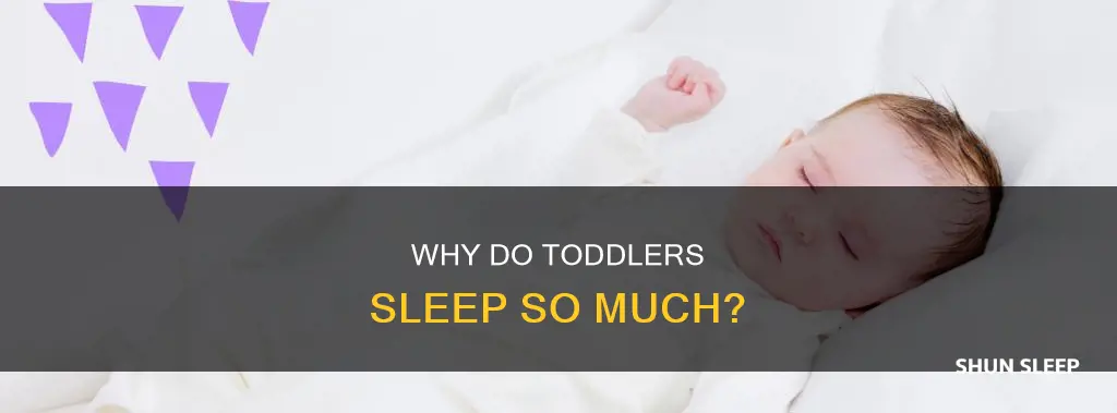 is it normal for a year old to sleep alot