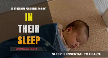 Is Baby Panting During Sleep Normal? Understanding Infant Breathing Patterns