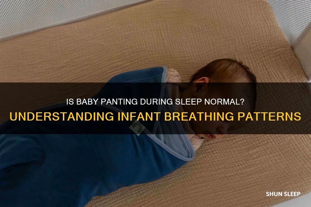 is it normal for babies to pant in their sleep