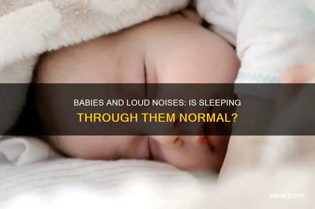 is it normal for babies to sleep through loud noises