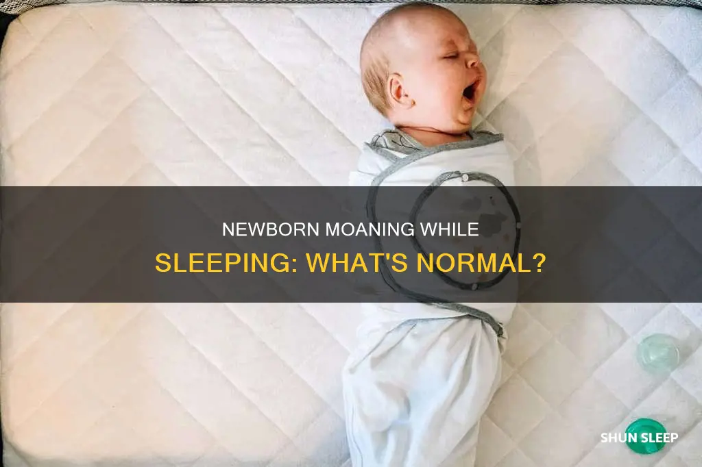 is it normal for newborn to moan while sleeping