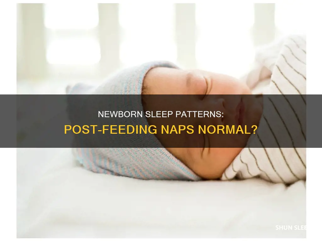 is it normal for newborn to sleep immediately after feeding
