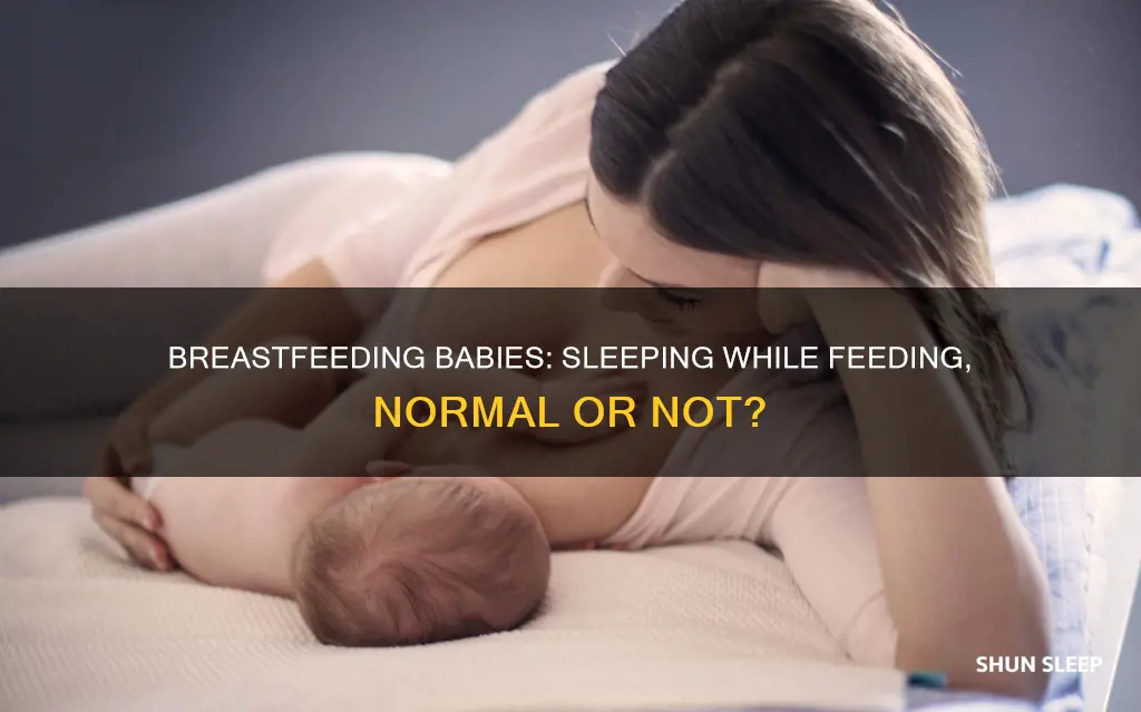 is it normal for newborn to sleep while breastfeeding