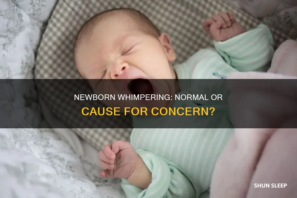is it normal for newborns to whimper in their sleep
