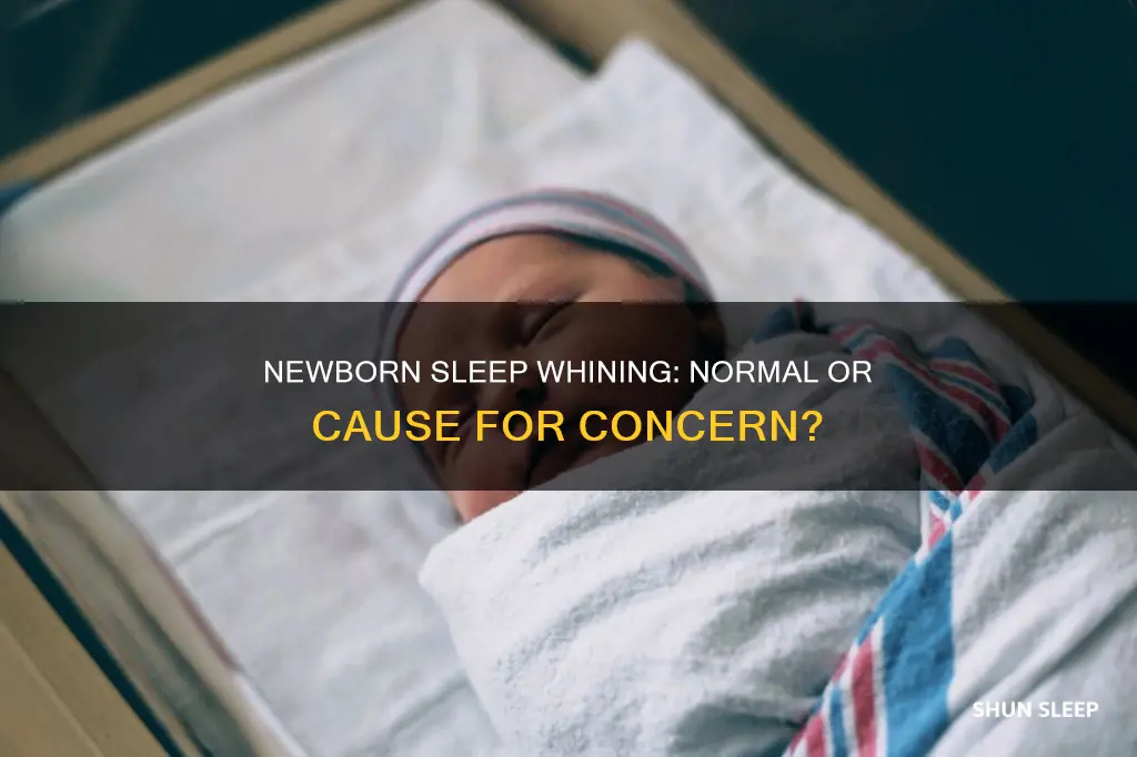 is it normal for newborns to whine in their sleep