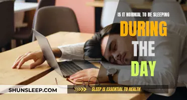 Daytime Sleep: Normal or a Health Concern?