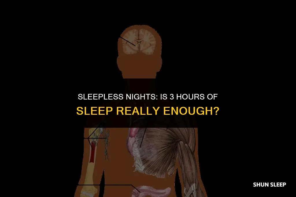 is it normal to sleep 3 hours a day