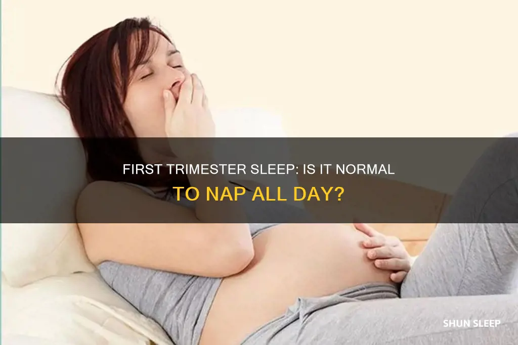 is it normal to sleep all day in first trimester