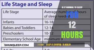 Exploring the Norms of Sleep: Is 12 Hours Too Much?