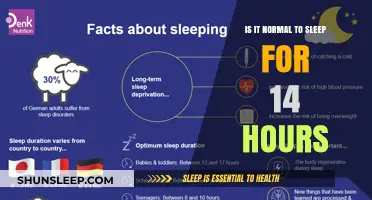 Exploring the Mysteries of Extended Sleep: Is 14 Hours Normal?