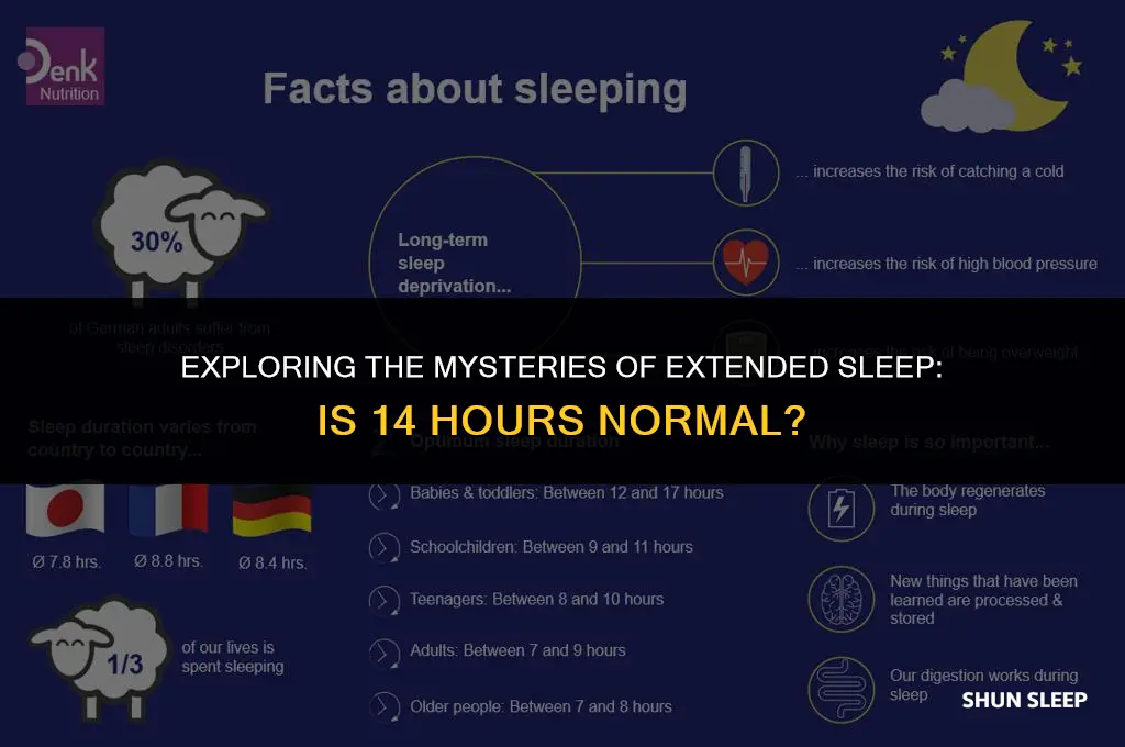 is it normal to sleep for 14 hours