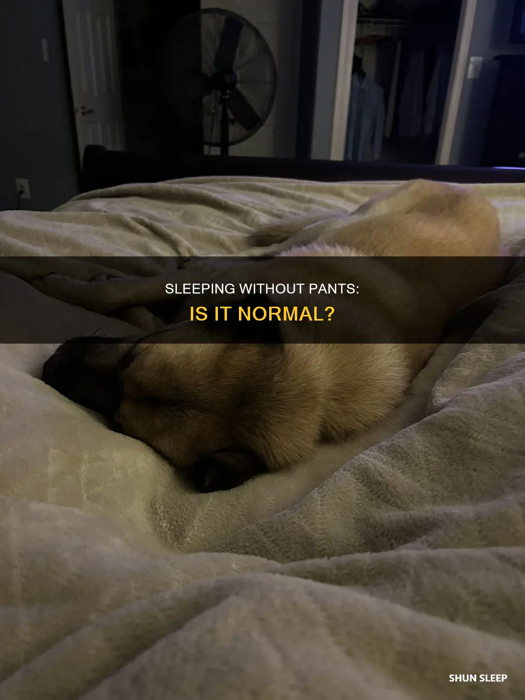 is it normal to sleep without pants