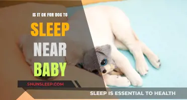 Dog and Baby Sleep Safety: Is Co-Sleeping a Good Idea?