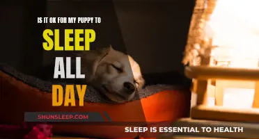 Puppy Naps: Healthy or Concerning?