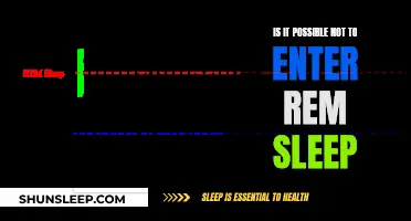 REM Sleep: Can We Live Without It?