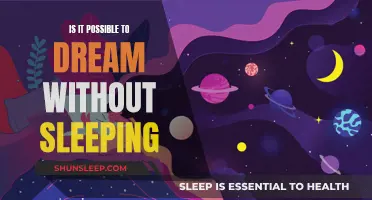 Dreaming Without Sleep: The Science Behind Lucid Dreams