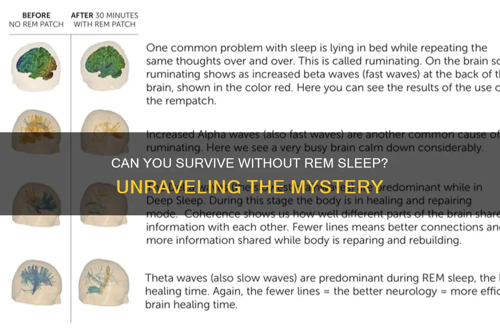 is it possible to get no rem sleep