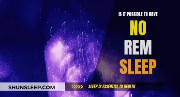 The Mystery of REM Sleep: Can We Live Without It?