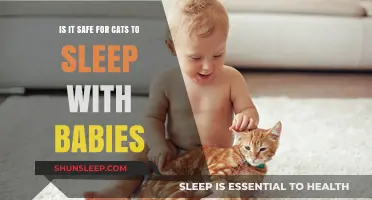 Cats and Babies: Safe Co-Sleeping Tips for New Parents