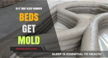 Do Sleep Number Beds Develop Mold? Uncovering the Truth and Facts