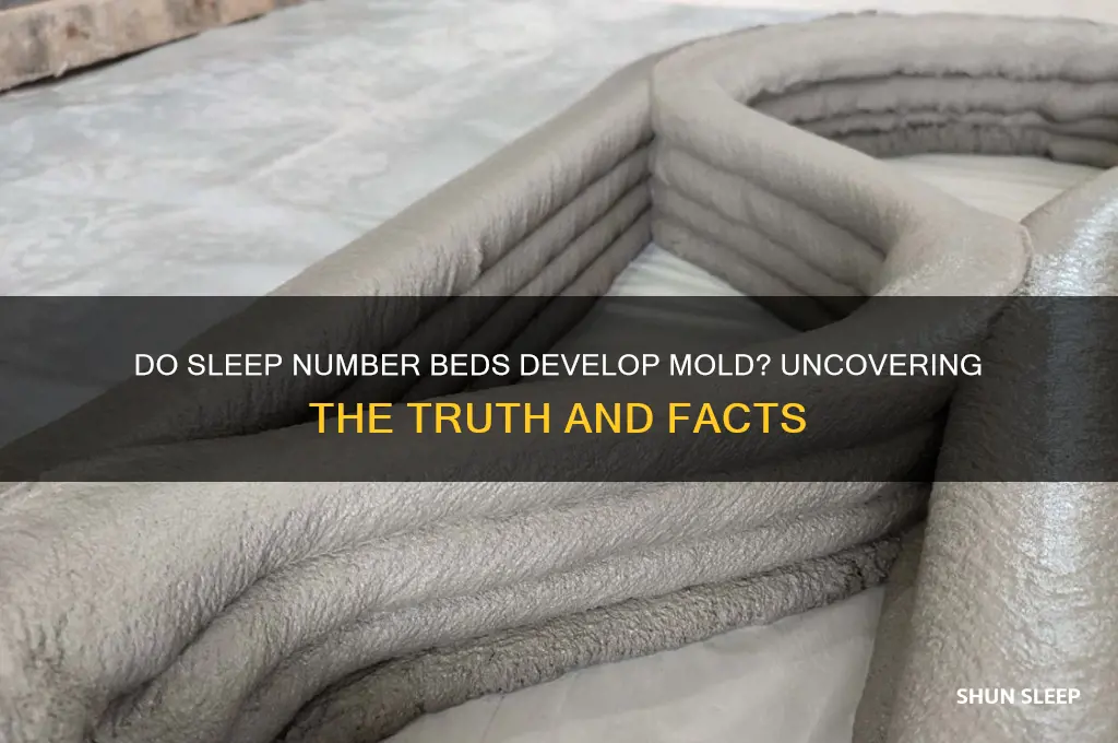 is it true sleep number beds get mold