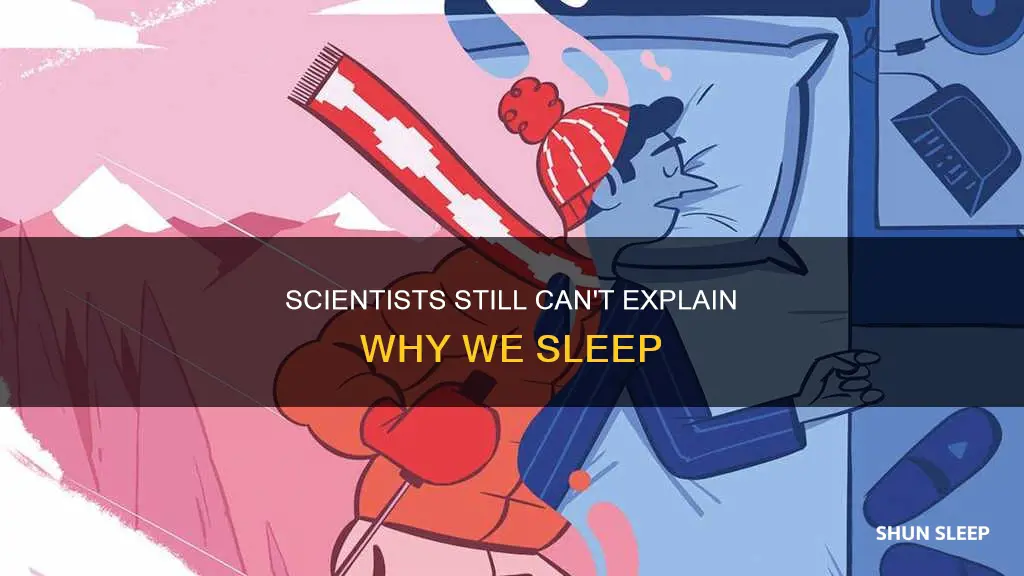 is it true that scientist don