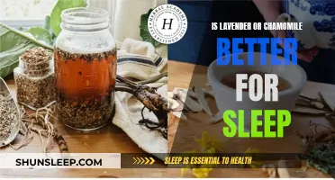 Lavender vs Chamomile: Which Herb Helps You Sleep Better?