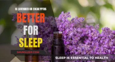 Lavender vs. Eucalyptus: Which Essential Oil Helps Sleep?