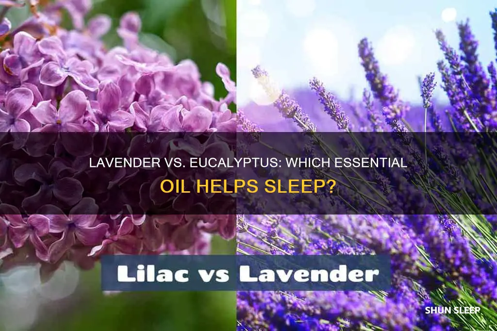 is lavender or eucalyptus better for sleep