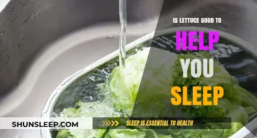 Lettuce and Sleep: Unveiling the Surprising Benefits for Better Rest